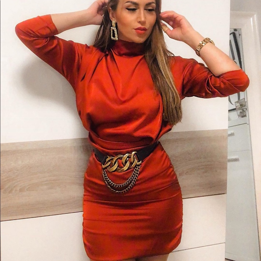 NWT Zara Limited Edition Leather and Link Belt - Picture 12 of 15